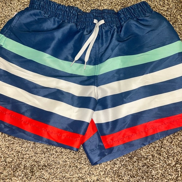 Chubbies Men Swim Trunks XL  blue white red green strip - Picture 2 of 6